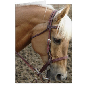Palomino Occidental