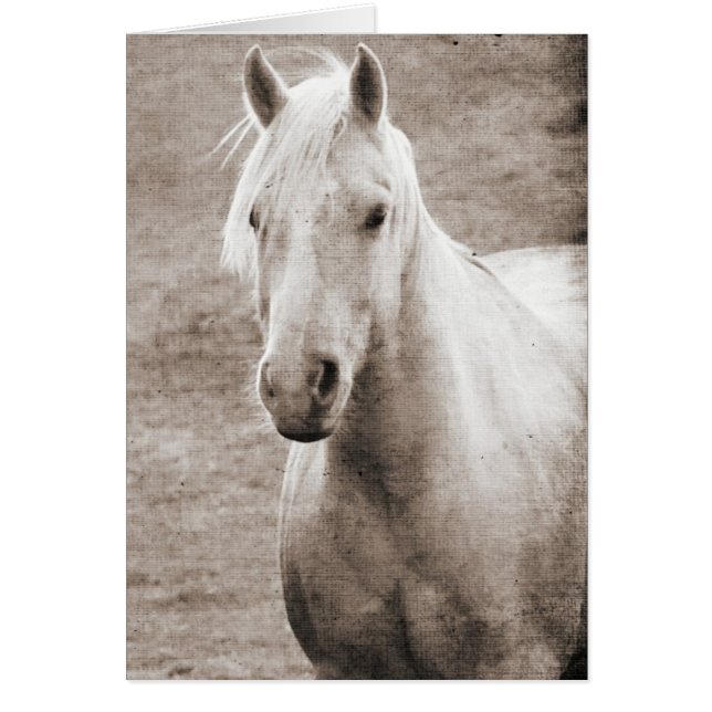 Palomino Sepia Todas Las Ocasiones (Frente)