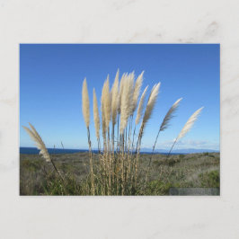 PALOS VERDES. TARJETA POSTAL CA #9