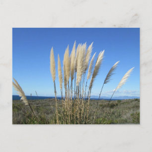 PALOS VERDES. TARJETA POSTAL CA #9