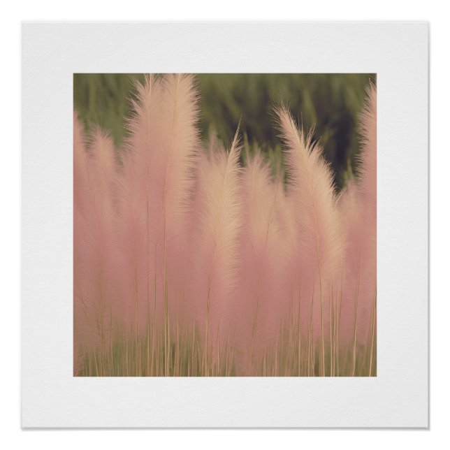 Pam-pass rosa Fotografía estética Poster (Anverso)