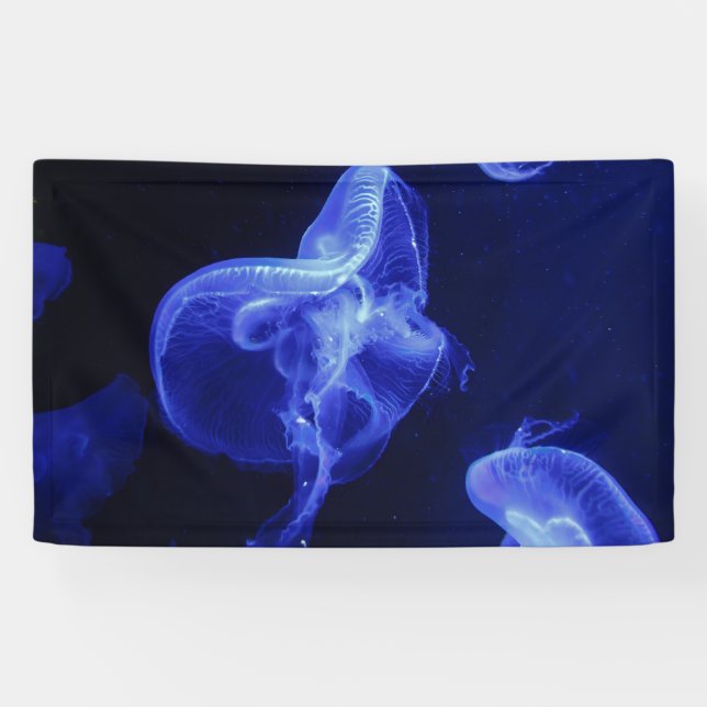 Pancarta de 3' x 5' (Horizontal)