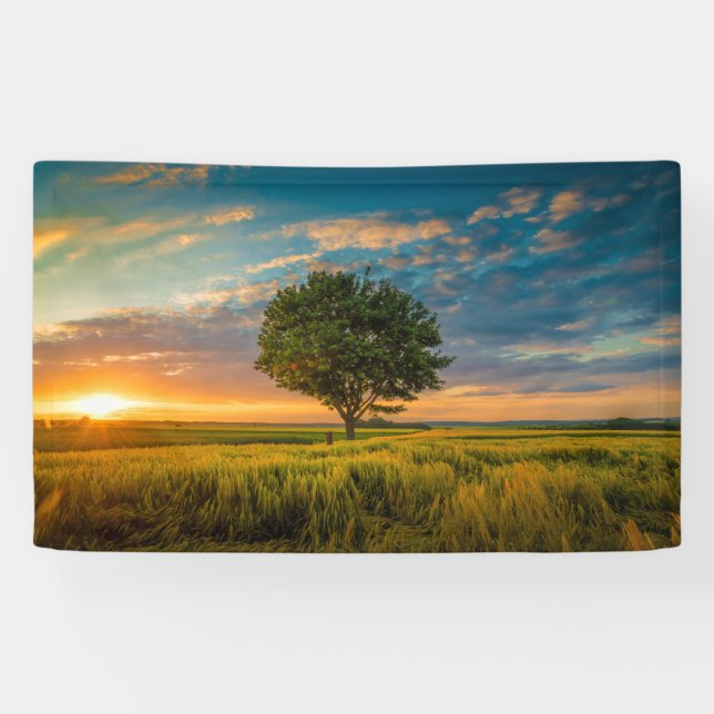 Pancarta de 3' x 5' (Horizontal)