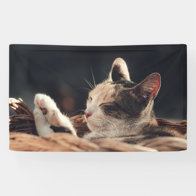 Pancarta de 3' x 5' (Horizontal)