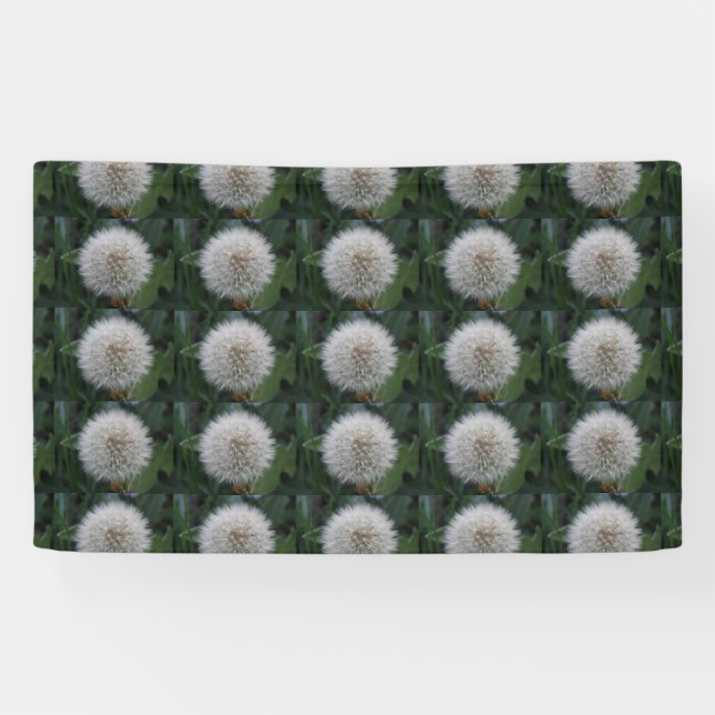 Pancarta de flores de Dandelion de semillas (Horizontal)