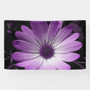 Pancarta de la Flor Purple Daisy