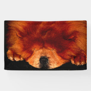 Pancarta de Sleeping Chow Chow Bnrcn