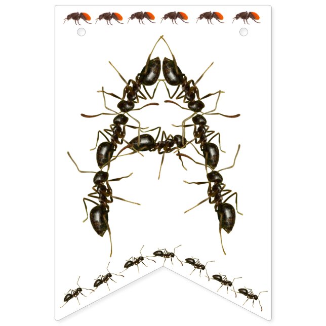 Pancarta temática de cumpleaños feliz (Tercera bandera)