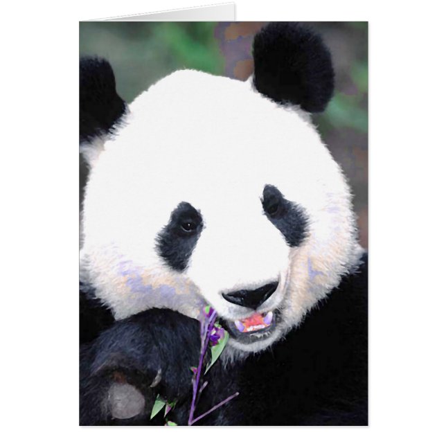 Panda (Frente)