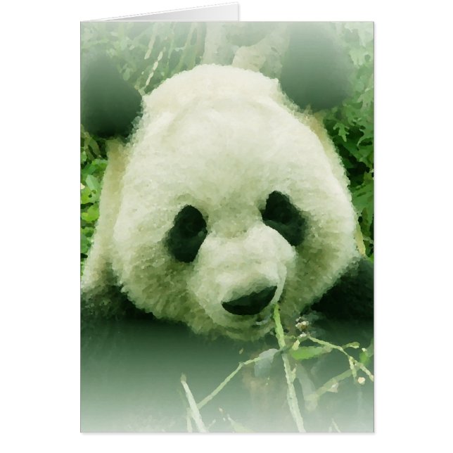 Panda (Frente)