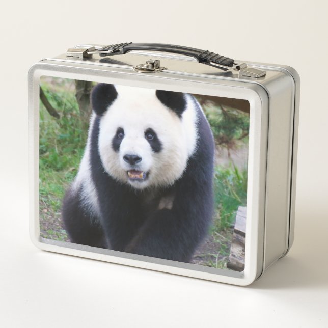 Panda_20190301_by_JAMFoto (Anverso)
