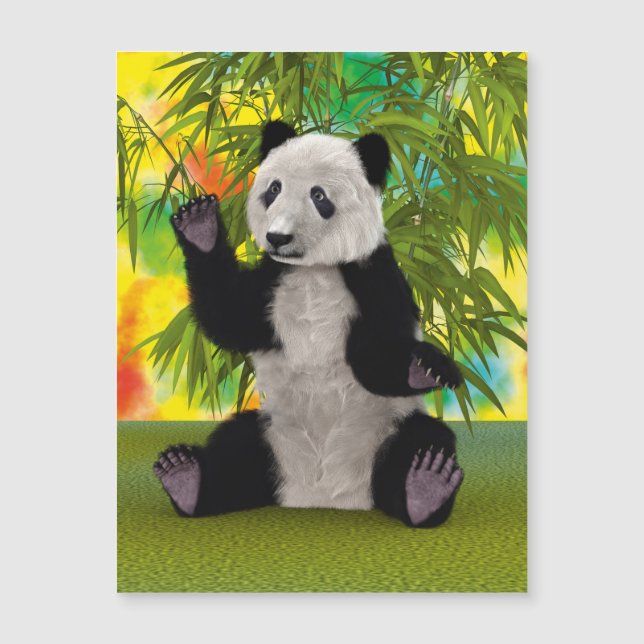 Panda Bear (Anverso)