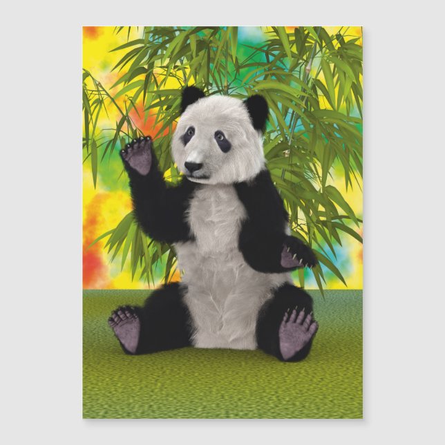 Panda Bear (Anverso)