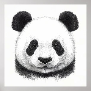 Panda Bear Naturaleza Salvaje Arte de Ilustracion 