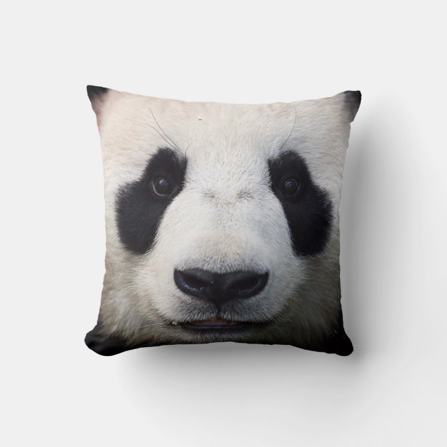 panda del mascota de la almohada (Anverso)