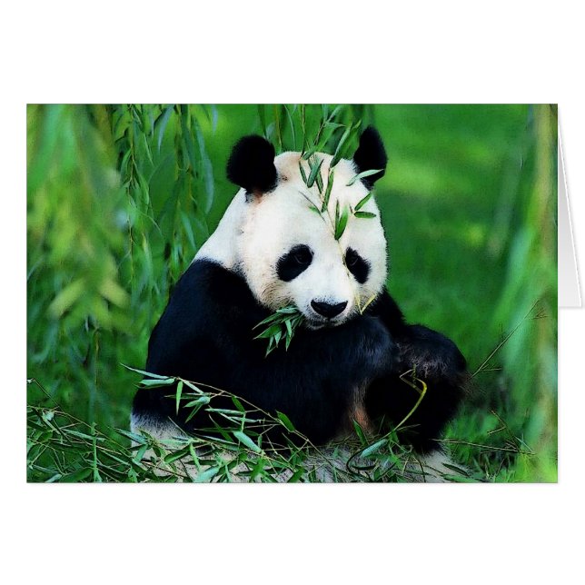Panda Eating Leaves (Anverso (Horizontal))