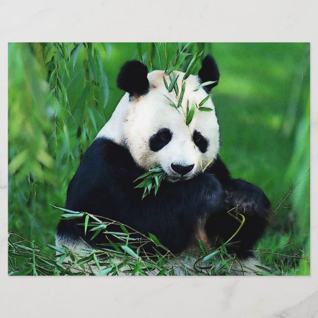 Panda Flyer (Frente)