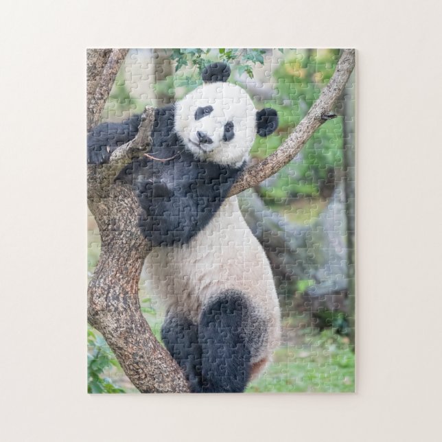 Panda Gigante Colgando En Un Rompecabezas De Árbol (Vertical)