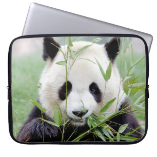 Panda gigante de la foto, fundas de portátiles ani