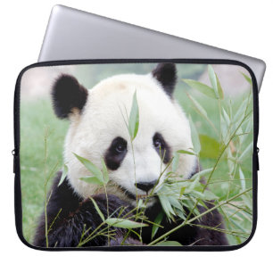 Panda gigante de la foto, fundas de portátiles ani