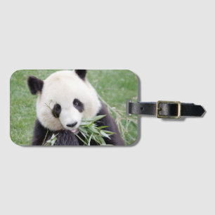 Panda gigante del equipaje 3 . Etiqueta para equip