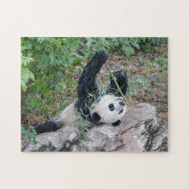 Panda gigante disfrutando del rompecabezas de la v