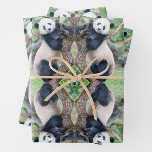 Panda gigante en hojas de papel envueltas en árbol