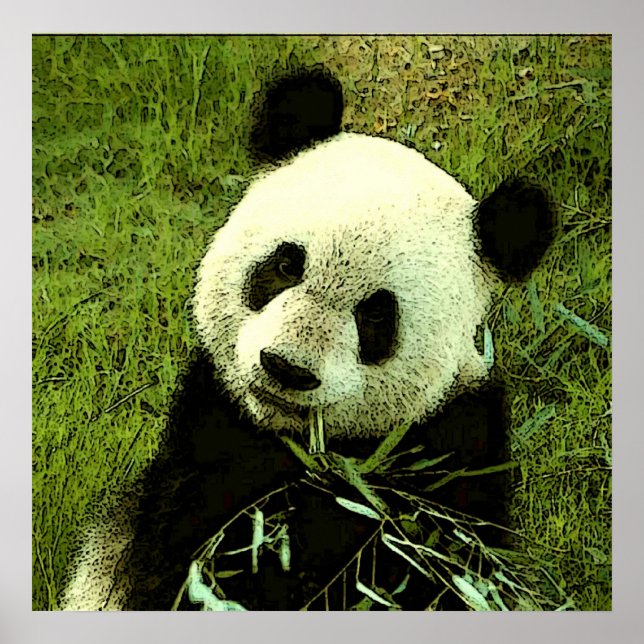 Panda Poster - Panda Posters Prints (Frente)