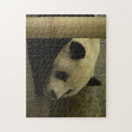 Panda Puzzle