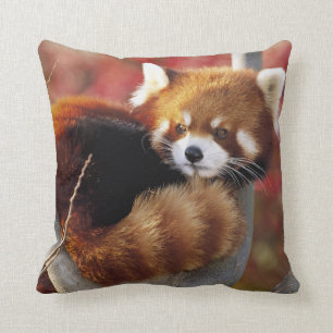 Panda roja en un Cojín decorativo del árbol
