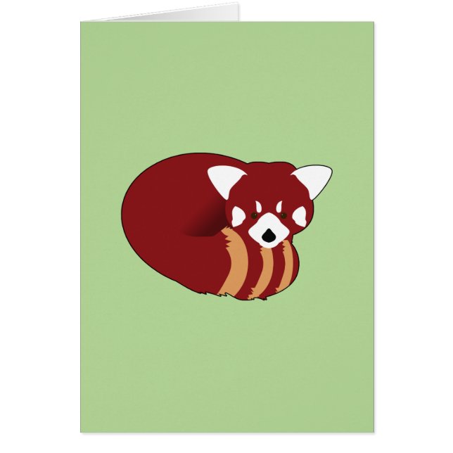 Panda rojo (Frente)