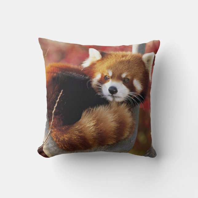 Panda rojo en un Cojín decorativo de árbol (Anverso)