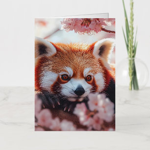 Panda Rojo Entre Flores De Cerezo