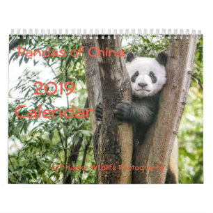 Pandas de China, calendario de pared 2019