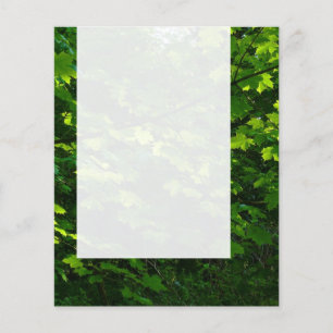 Panel 039 - Hojas de verano