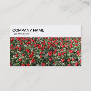 Panel superior - Tarjeta de visita de la cama de t