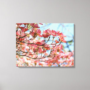 Paneles de arte en lienzo Árboles de Dogwood Rosa 