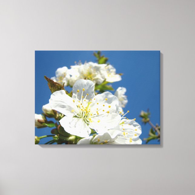 Paneles de arte fino de lienzo Flores de cerezo Ár (Anverso)