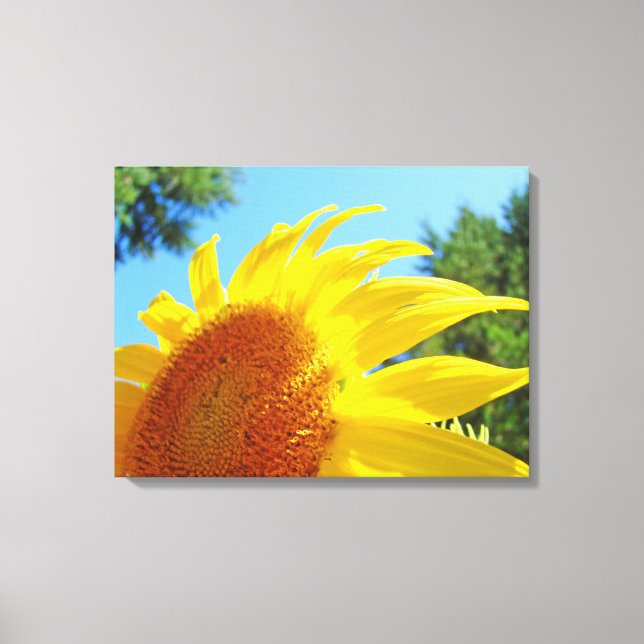 Paneles de impresión de arte en lienzo de girasol  (Anverso)