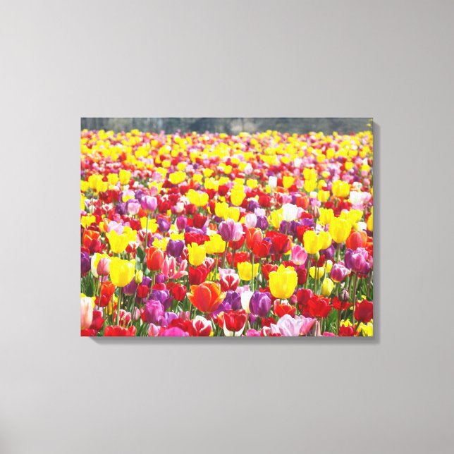 Paneles de lienzo de tulipanes de primavera Arte p (Anverso)