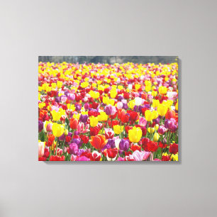 Paneles de lienzo de tulipanes de primavera Arte p