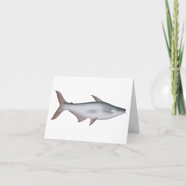 Pangas Catfish (Anverso)