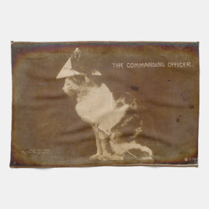 Paño De Cocina 1906 El oficial al mando vestido gato RPPC