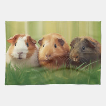 3 cerdos de Guinea en hierba