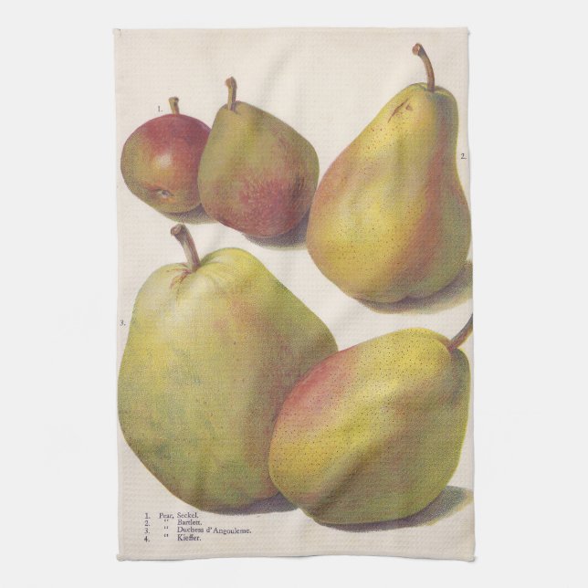 Paño De Cocina 5 peras vintage ilustradas (Vertical)
