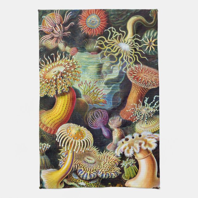 Paño De Cocina Actiniae de Ernst Haeckel (Vertical)