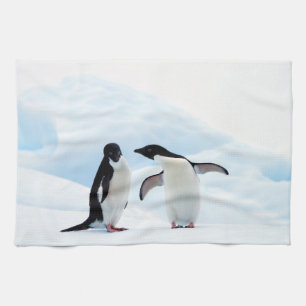 Paño De Cocina Adelie Penguins