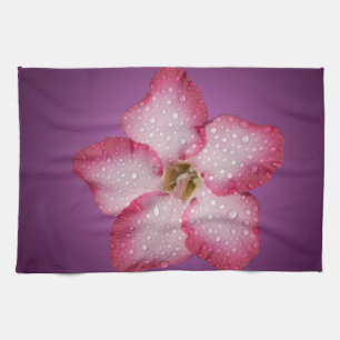 Paño De Cocina Adenium Flor Rosa Flora Gradiente Violeta