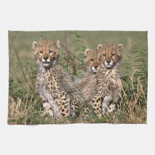 Paño De Cocina África; Kenia; Masai Mara; Tres cachorros de guepa
