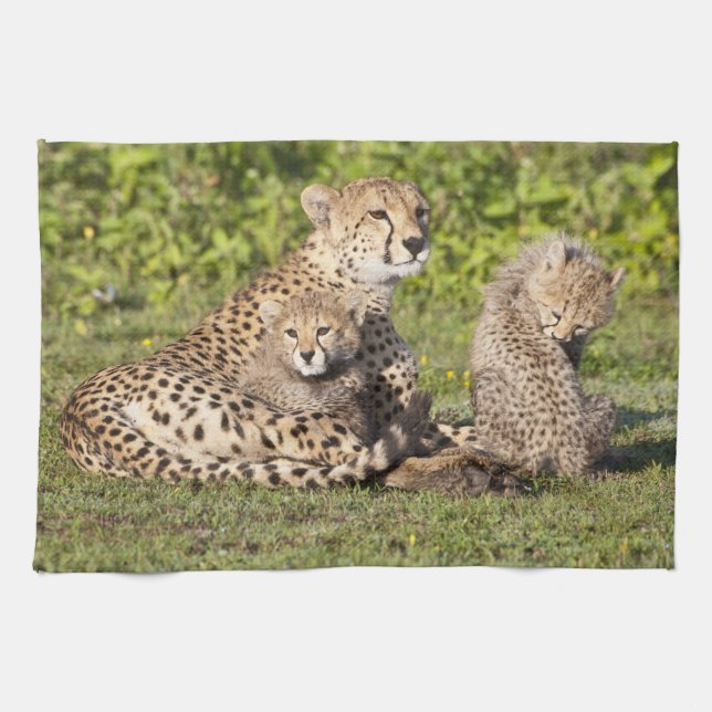 Paño De Cocina África. Tanzania. Madre y cachorros chitas 2 (Horizontal)